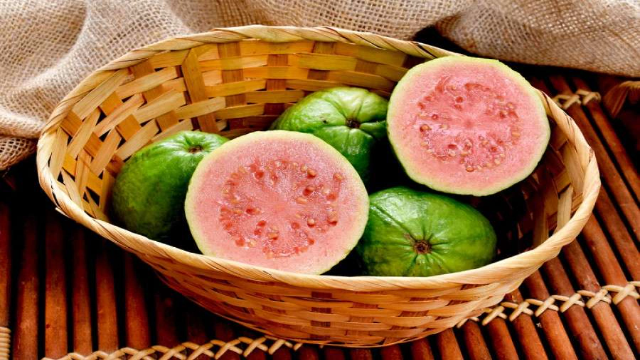 8 Manfaat Jambu Biji untuk Kesehatan Tubuh